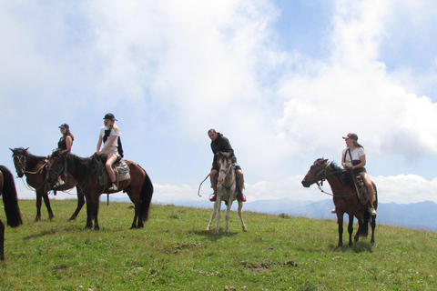 1 giorno di avventura a cavallo nei monti Borjomi1 giorno di avventura a cavallo nel Parco Nazionale di Borjomi