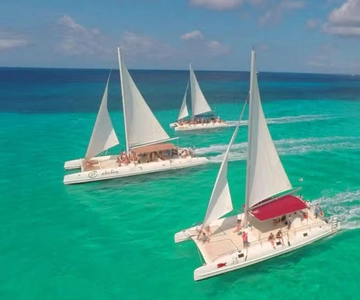 Punta Cana: Excursión de un día a Isla Saona con almuerzo buffet