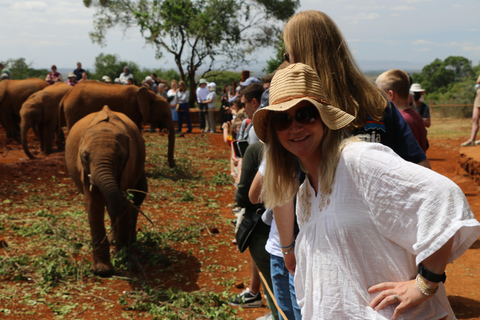 Visit to David Sheldrick Elephant Orphanage