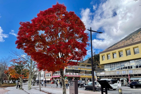 From Tokyo: Nikko Day Trip with Premium Vehicle and Guide