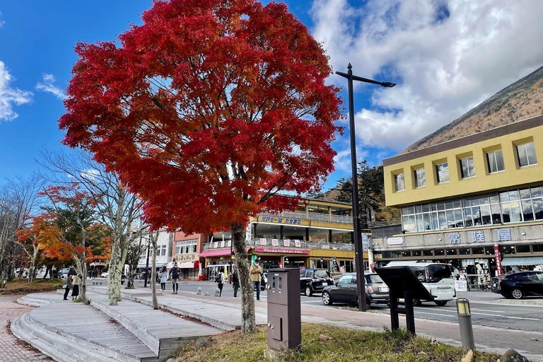 From Tokyo: Nikko Day Trip with Premium Vehicle and Guide