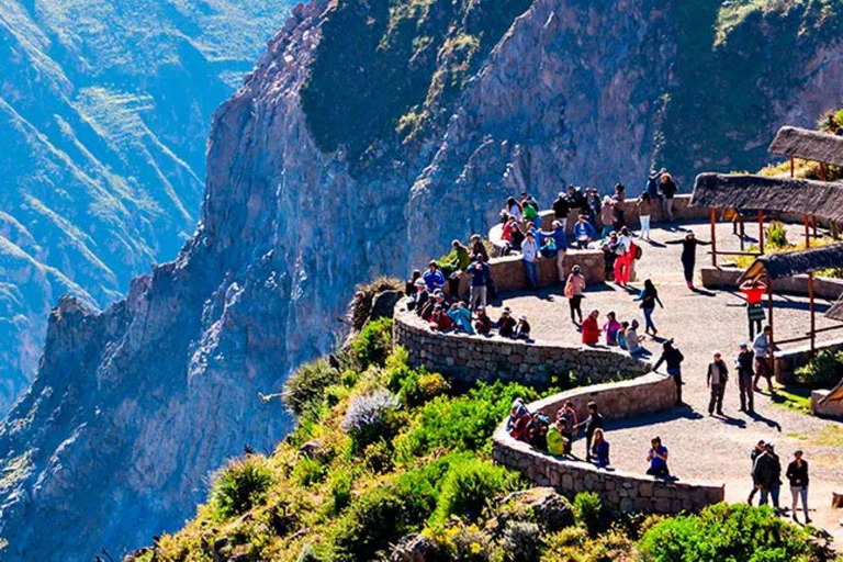 From Puno || 2-day Colca Canyon Tour ending in Arequipa ||