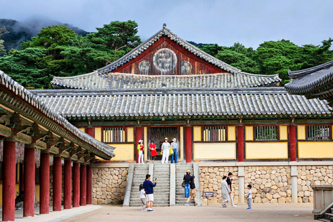 From Busan: Gyeongju Ancient Capital Day Tour