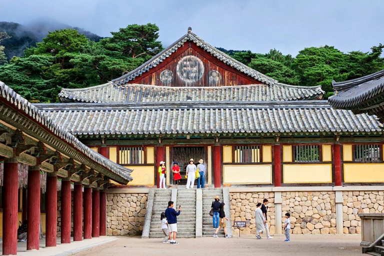 From Busan: Gyeongju Ancient Capital Day Tour