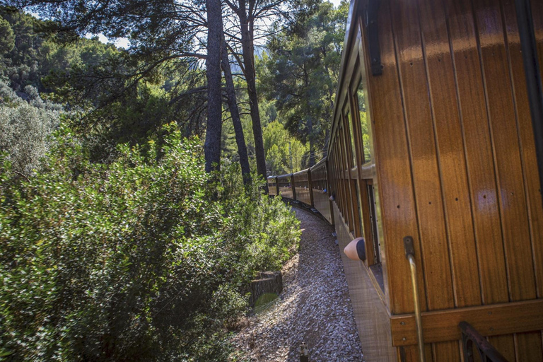 Palma: Inselrundfahrt auf Mallorca mit Boot, Zug und BusPalma: Mallorca Island Tour per Boot, Zug und Bus