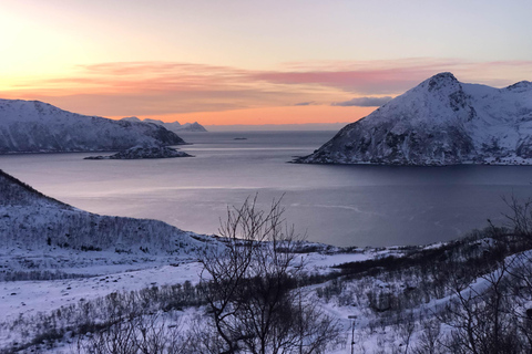 Tromsø: Fjorden &amp; Stranden Tour met kampvuur en foto&#039;s