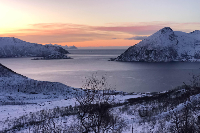 Tromsø: Excursão pelos fiordes e praias com fogueira e fotos