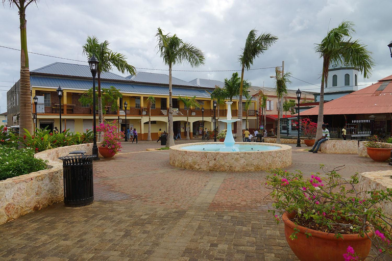 Falmouth Jamaica City Highlights & Historic Tour - Private Private Falmouth Jamaica City Highlights - From Lucea