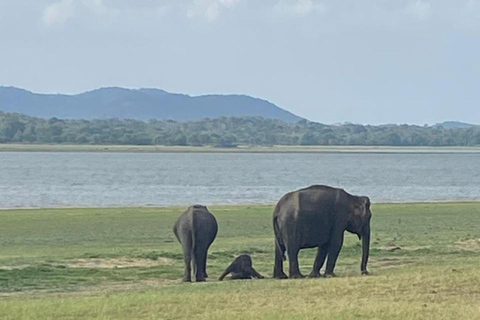 Tour de 6 dias por cidades diferentes com naturezas diferentes