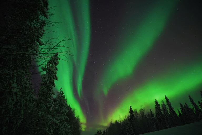 Northern Lights Rovaniemi Guaranteed & Unlimited KM Hunting