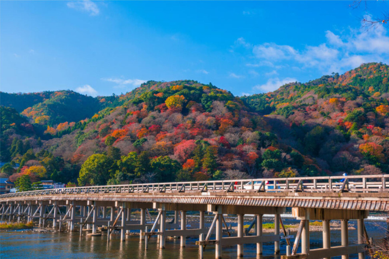 Osaka, Nara i Kioto - 1-dniowa wycieczka z anglojęzycznym kierowcą