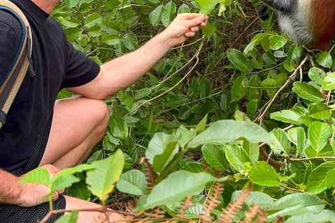 Explore Jozani Forest and Zanzibar Spice Farm Private tour No Hotel pickup and drop-off included