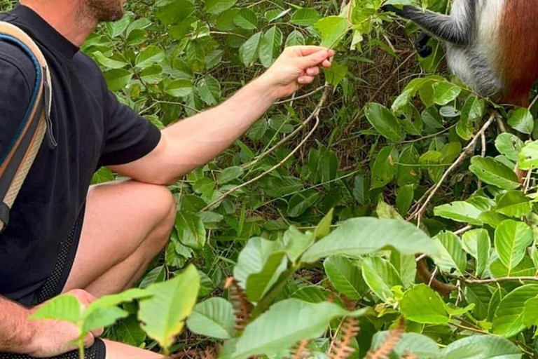 Explore Jozani Forest and Zanzibar Spice Farm Private tour No Hotel pickup and drop-off included