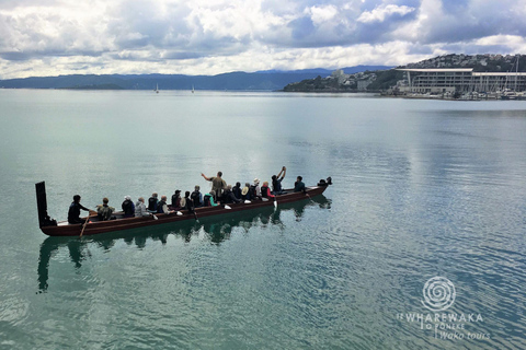 Wellington: Tour guiado em Waka (experiência cultural maori)