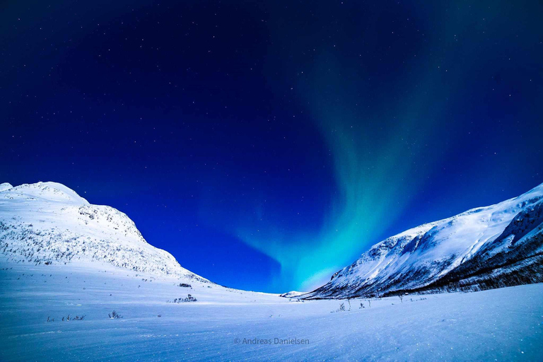 Tromsø: Northern Lights tour with local experts