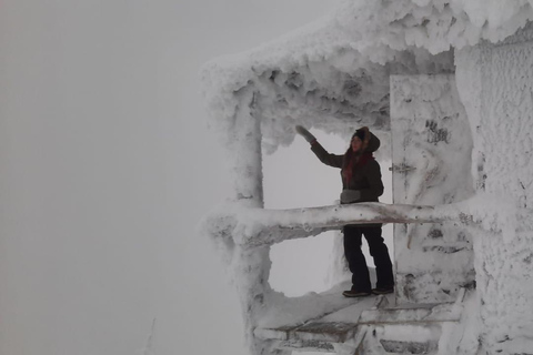 Levi: Snöskovandring: Tomtens stuga och picknick i natursköna omgivningar