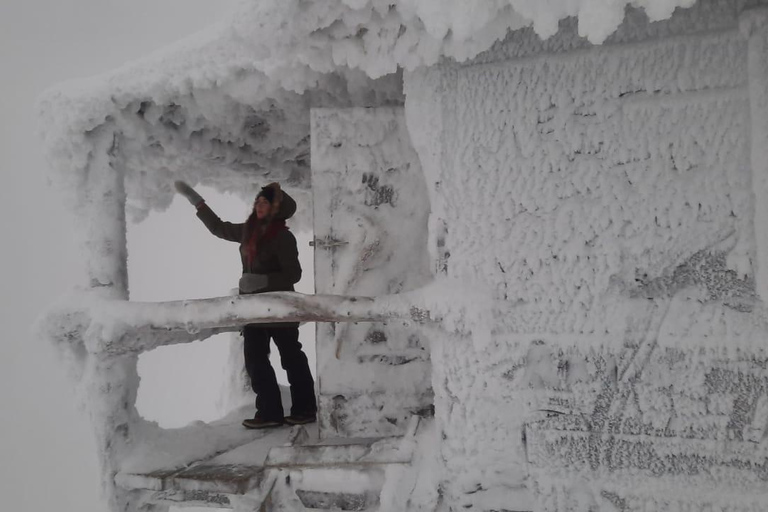 Levi: Snöskovandring: Tomtens stuga och picknick i natursköna omgivningar