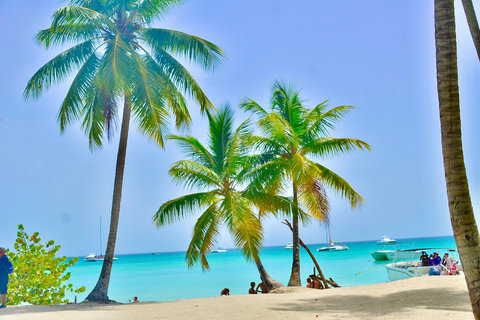 Punta Cana: Island escape to Saona, catamaran & beach lunch Punta Cana: Catamaran Party Cruise | Open Bar & Snorkeling