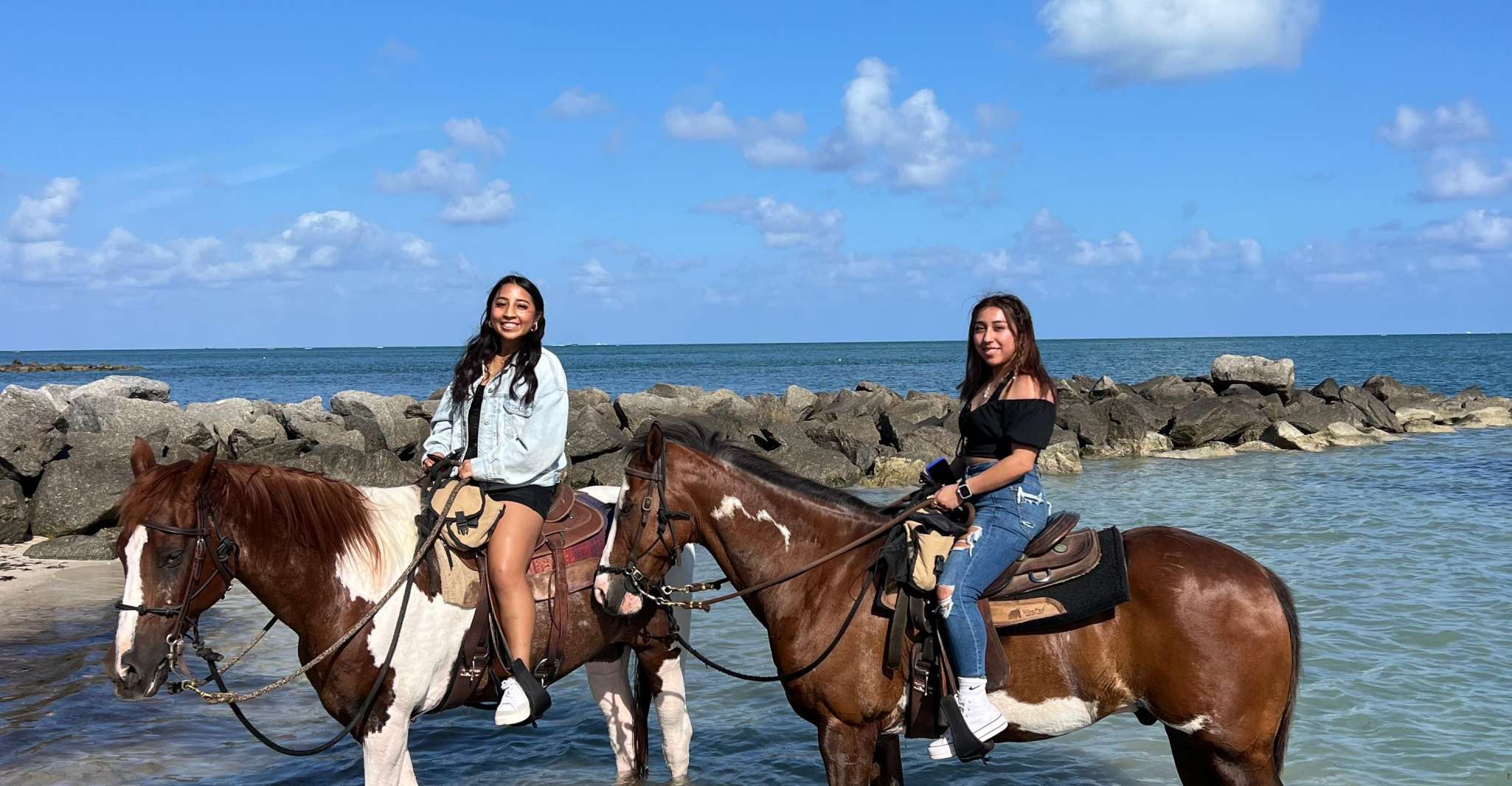 Miami, Beach Horse Ride & Nature Trail - Housity