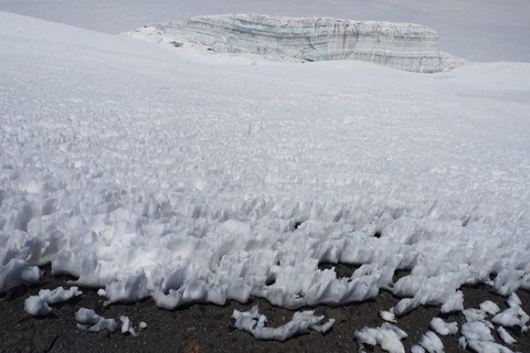 كليمنجارو: رحلة سيرًا على الأقدام في طريق مارانجو لمدة 7 أيام مع مكان إقامة في كوخكليمنجارو: رحلة ما