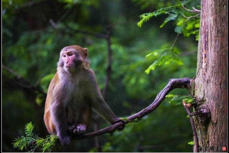 张家界：玻璃桥和《阿凡达》风景一日游Glass Bridge &amp; Avatar Scenery Private Tour(Only private car)