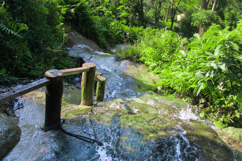 Chiang Mai: Sticky Waterfall by Local Truck with Market Stop Group Options