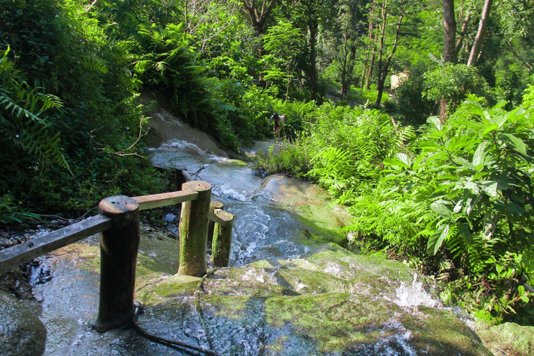 Chiang Mai: Sticky Waterfall by Local Truck with Market Stop Group Options