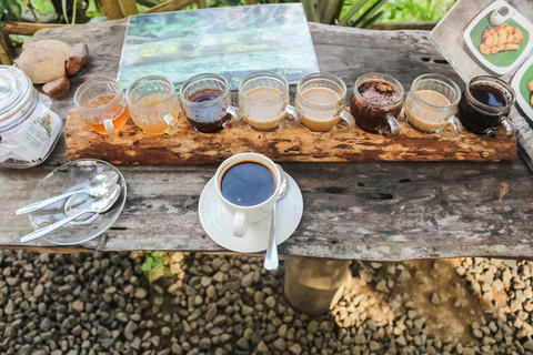 Het beste van Ubud: waterval, rijstterrassen & apenbosHet beste van Ubud met lunch