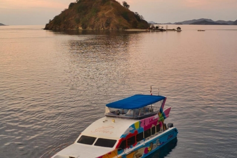 Labuan Bajo : Excursion d'une journée sur l'île de Komodo en bateau rapide