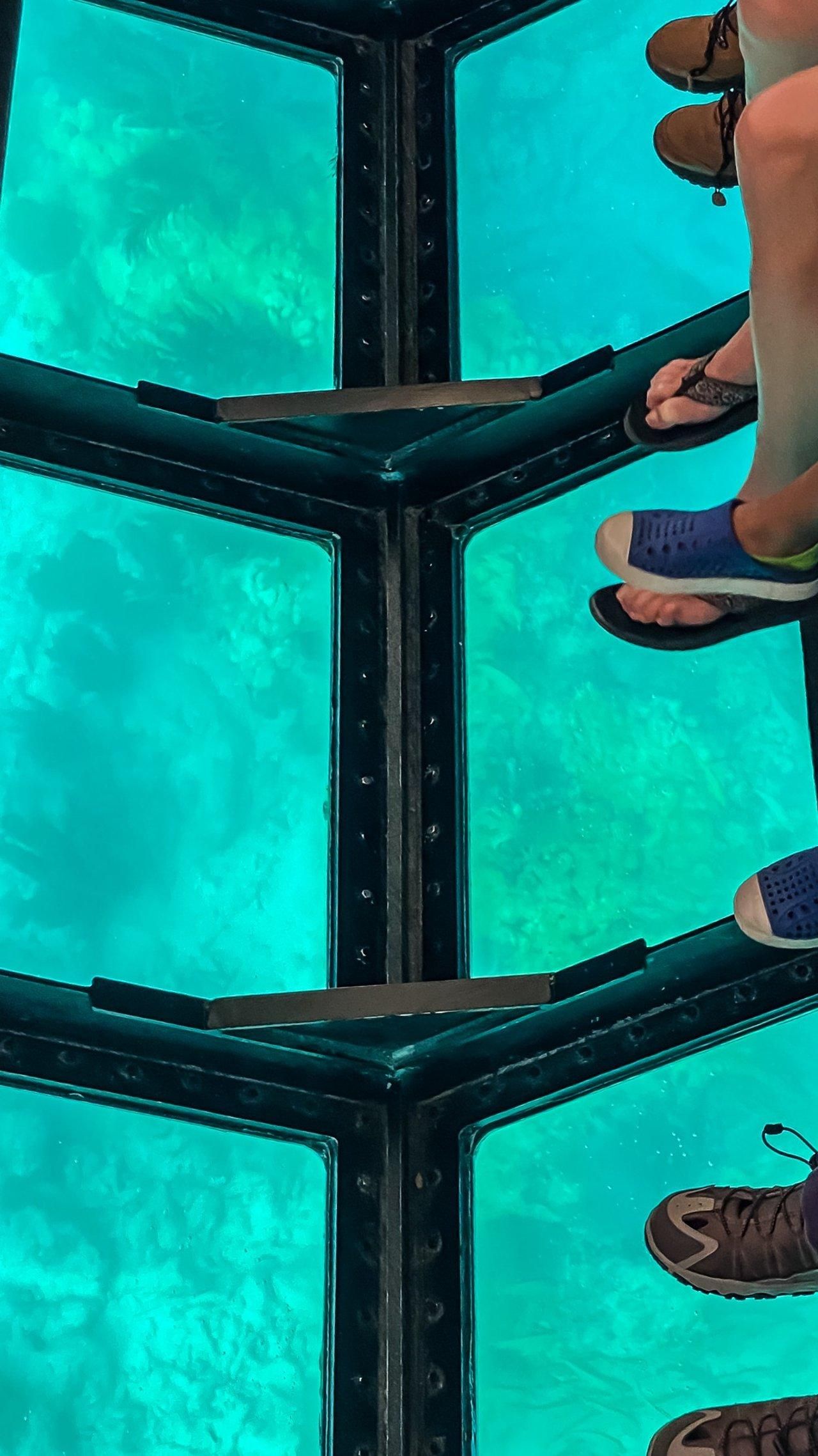 Cavtat: Panoramafahrt mit einem Glasboden-Boot