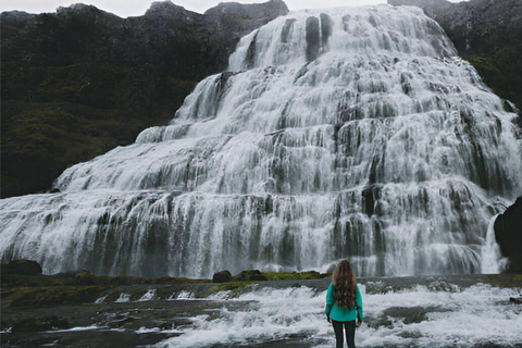 From Isafjordur: Private Dynjandi Waterfall & Farm Tour