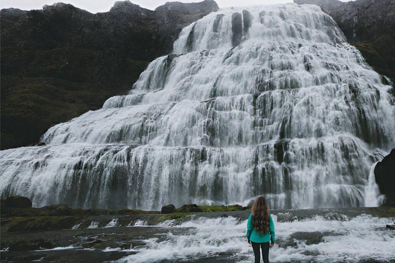 From Isafjordur: Private Dynjandi Waterfall & Farm Tour