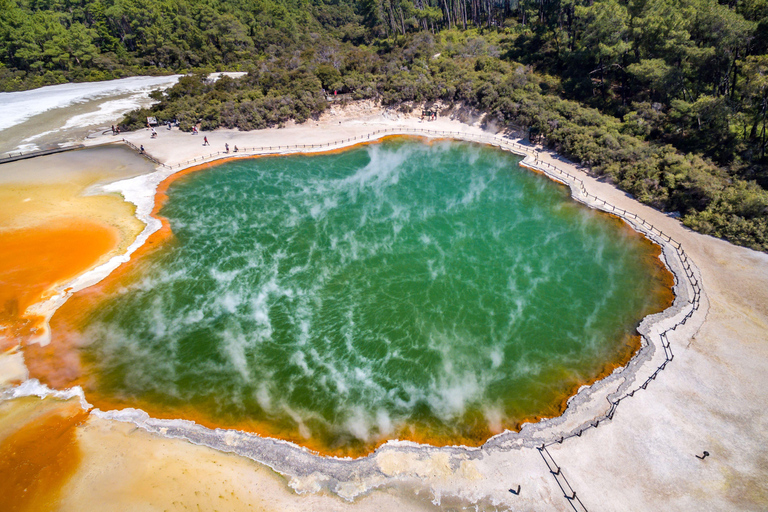 Tour em pequenos grupos de Auckland a Rotorua e itens extras de atividadesExcursão a Rotorua com caminhada pelas sequoias e entrada no Polynesian Spa