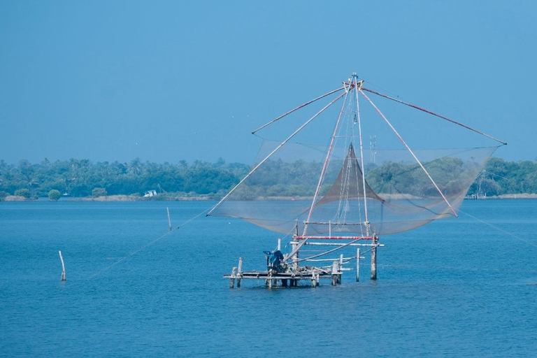 Kochi: 3-Day Kerala Tour with Munnar and Alleppey Cruise