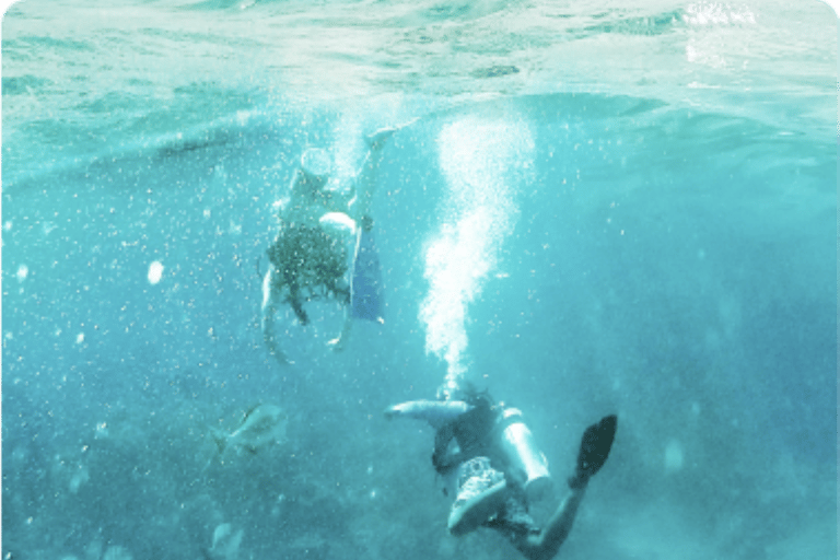 Cancun: Papageienfisch-Abenteuer-Paket