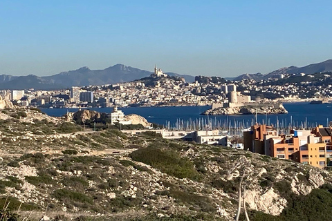 Marseille : visite à pied avec un guide de la région