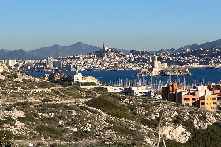 Marseille : visite à pied avec un guide de la région