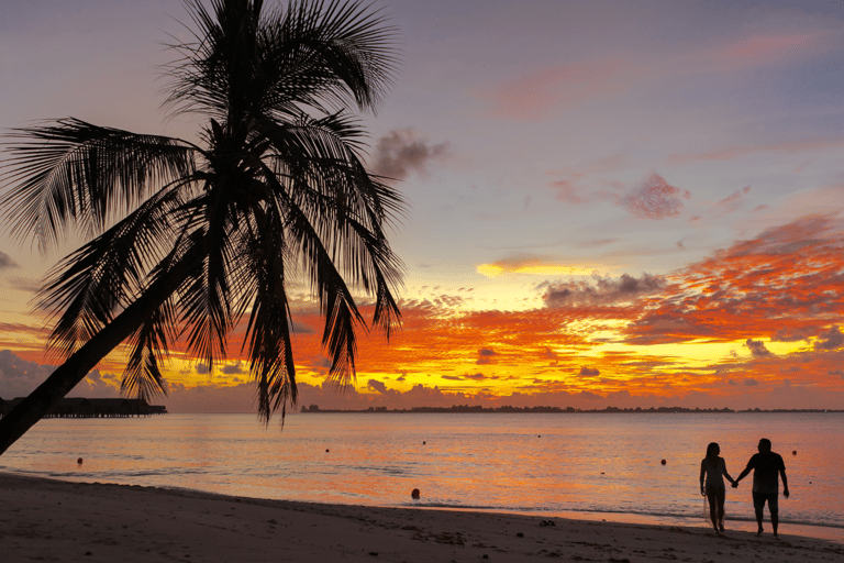 Sri Lanka: 5-Day Private Tour with Chauffer