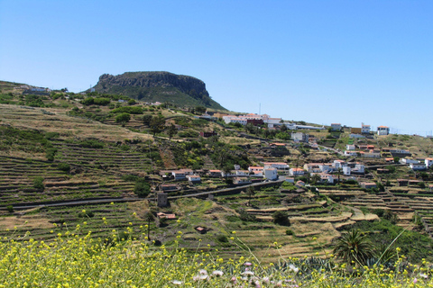 La Gomera: Tour guidati a piedi dalla Valle Gran ReyForesta pluviale il mercoledì