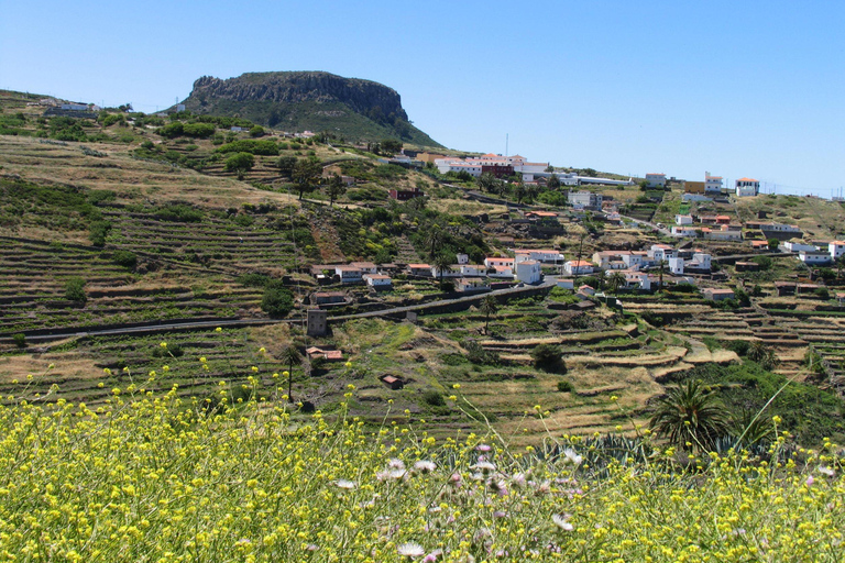 La Gomera: Guided Hiking Tours from Valle Gran ReyThe Table Mountain on Fridays