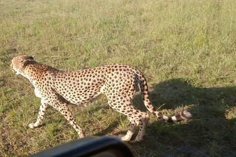 Masai Mara: 3 giorni di Masai Mara