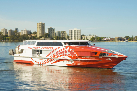 Perth: Rottnest Island Flight Transfer with Return Ferry