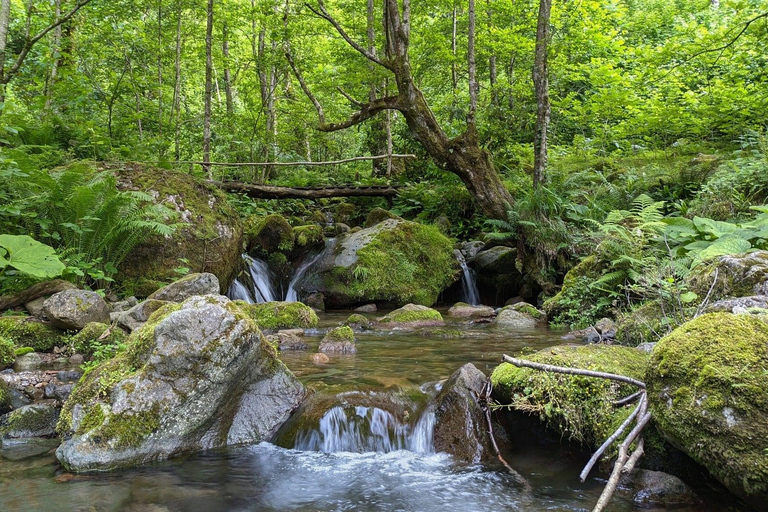 Kutaisi Wilderness Trek: Excursión de 4 días a pie puro