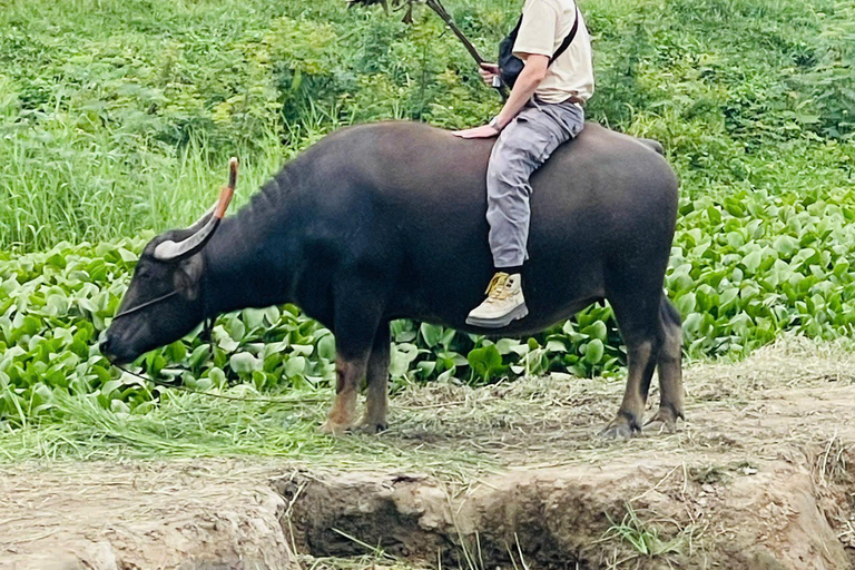 Hoi An: Countryside Bicycle Tour with Farm, Basket Boat Ride
