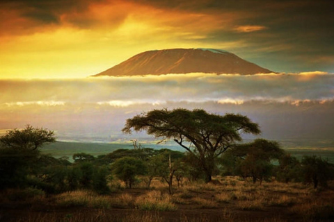 Nairobi: Lake Naivasha & Amboseli National Park 3-day safari L. Naivasha, Hell's gate & Amboseli National Park 3-day tour