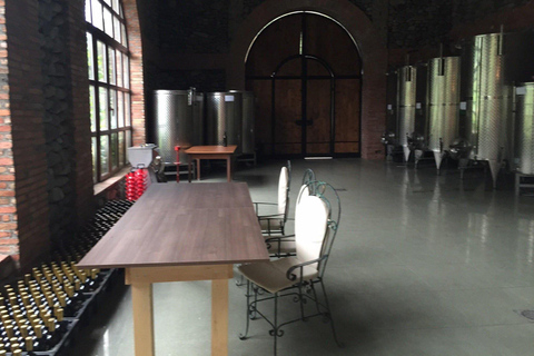 Adjara: Vineyard Tour with Wine Tasting and Lunch