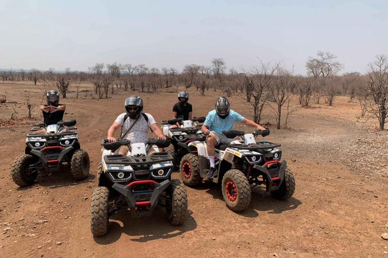 维多利亚瀑布：四轮越野车之旅和大树参观维多利亚瀑布：四轮越野车之旅和参观大树