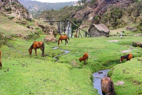 Från Addis Abeba: Dagsutflykt med båtresa till Wenchi kratersjö