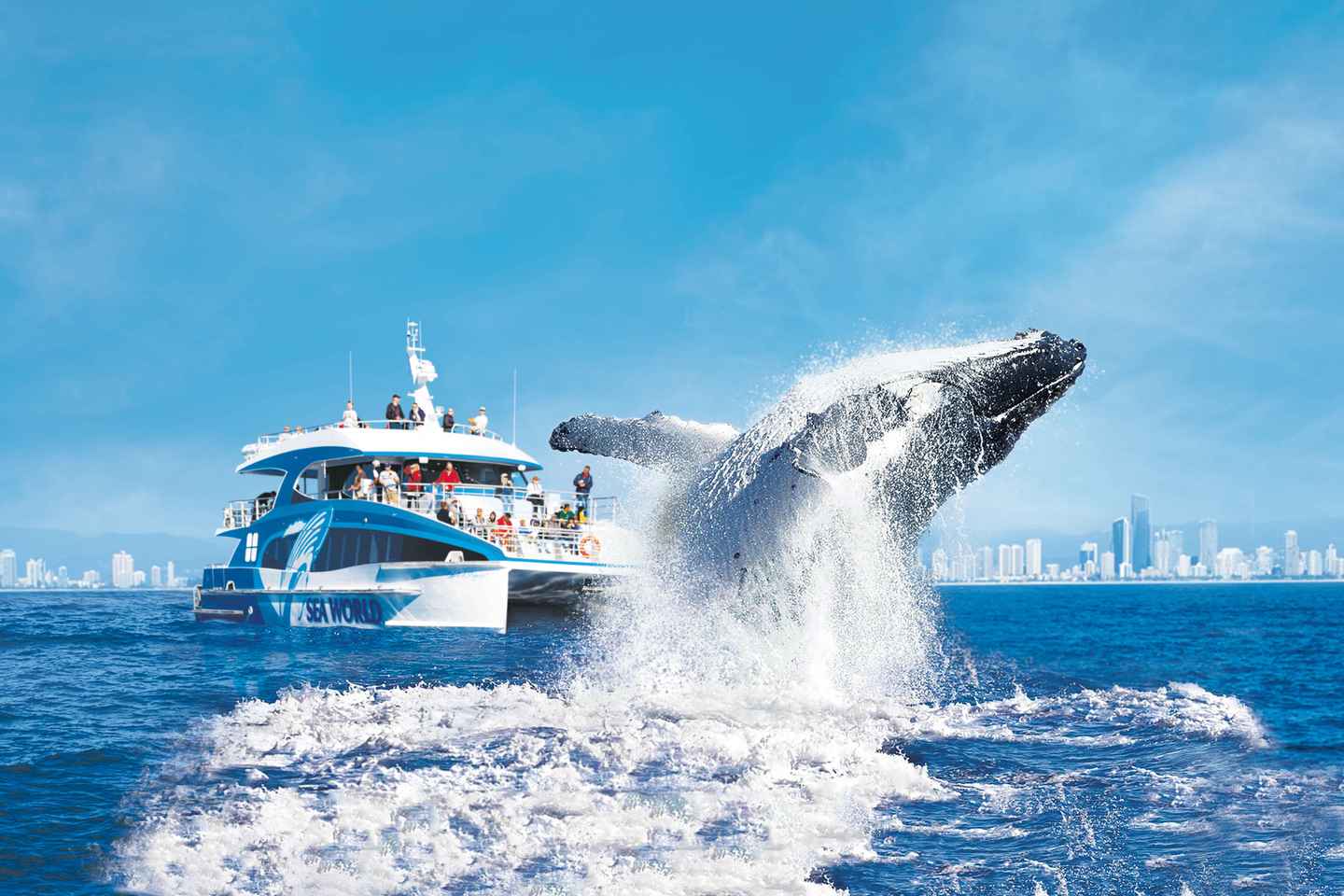 Gold Coast: Whale Watching Cruise & Sea World Entry - Gold Coast: Whale Watching Cruise & Sea World Entry