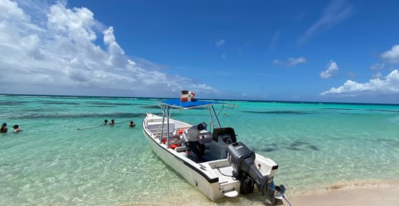 Saona Island VIP: 4 Beaches , Mano Juan & Canto de la Playa
